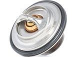 Gates TH14387G1 Termostato, Liquido Di Raffreddamento Oe 075121113A Compatibile Con A4 8D, A4 8E, A4 8H, A6 4A, A6 4B, A8 4D, S-Type, Xj, Xjsc, XK8, Xk8Er, Xk, Superb, Passat 3B
