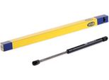 Magneti Marelli 430719082800 - Oe 871702E020 Molla A Gas, Lunotto Posteriore Per Tucson (Jm)