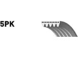 Gates 5PK1063 - Oe 07K145933E Keilrippenriemen Per A3 (8V), Q3 (8U), Tt (8J), Jetta Iii (1K2), Jetta Iv