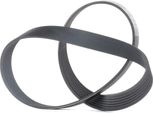 Gates 7PK1078 - Cinghia Oe 60607387 Con Nervatura A V Per 145 (930), 146 (930), 155 (167), 156 (932), Gtv (916), Spider (916), Ducato, Note (E12)