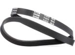 Meyle 050 004 0845 - Oe 7 512 563 Keilrippenriemen Per Grand C-Max, Ceed (Ed), Megane Iii, Escort V, 7Er (E65), 5Er (E61), 5Er (E60), HR-V (Gh), CR-V I (Rd), Civic Vii, Civic Vi, Accord Vi, Matrix (Fc), Coupé (Gk), Accent I (X-3), Primera (P11), Primera (W10), Primera (P10), Almera I (N15), Corolla (E10)
