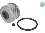 Meyle 16-14 323 0010 - Filtro Carburante Oe 4402894 Per Clio Ii, Kangoo (Kc), Kangoo (Fc), Laguna I, Megane I, Megane Scenic, Scenic I, Trafic (P, T, V)