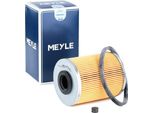 Meyle 614 818 0000 - Oe 90542912 Kraftstofffilter FüR Astra G, Astra H, Astra (A04), Combo, Combo Tour, Corsa C (X01), Corsa D (S07), Frontera B (U99), Meriva (X03), Signum (Z03), Sintra (Apv), Vectra B (J96), Vectra C (Z02), Zafira B, Zafira A