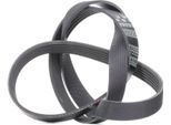 Gates 6PK1375 - Cinghia Oe 55203815 Con Nervatura A V Per Giulietta (940), Mito (955), 500L (351, 352), Bravo, Punto, Idea, Linea, R50, R53, R52