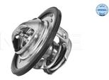 Meyle 16-28 228 0009 - Oe 7700872554 KüHlwasserthermostat FüR Duster, Logan, Sandero, Primastar (X83), Vivaro (J7), Vivaro (F7), Vivaro A (X83), Vivaro A (E7), Avantime (DE0), Clio Ii, Espace Iii (Je), Espace Iv (Jk), Grand Scenic Ii (Jm), Kangoo (Kc), Kangoo (Kw), Kangoo (Fc), Kangoo (Fw), Laguna Iii, Laguna I, Laguna Ii, Logan I, Megane I, Megane Ii, Megane Scenic, Scenic I, Scenic Ii, Thalia I
