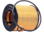 Meyle 314 322 0000 - Oe 11 42 7 566 327 Filtro Olio Per Serie 3 (E92), Serie 3 Gt (F34), Serie 3 (E91), Serie 3 (E93), Serie 3 (F30), Serie 3 (E90), Serie 2 (F22, F87), Serie 2 (F23), Serie 1 (E82), Serie 1 (E88), Serie 1 (F21), Serie 1 (F20), Serie 1 (E87), Serie 1 (E81), Serie 3 (F31), Serie 4 (F33), Serie 4 (F32, F82), Serie 4 (F36), Serie 5 (E60), Serie 5 (F10), Serie 5 Gt (F07), Serie 5 (E61)