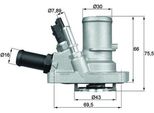 Mahle Ti 144 88 - Oe 55194029 KüHlwasserthermostat FüR Mito (955), Panda, Punto, Qubo, Siena, Tipo, 500 (312), 500L (351, 352), Bravo, Doblo, Fiorino, Idea, Linea, Palio, Combo (X12), Combo Tour (X12)