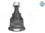 Meyle 16-16 010 0008 - Oe 6025308155 Giunto Sferico Anteriore Inferiore Per Avantime (DE0), Espace Iii (Je)