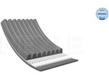 Meyle 050 008 1720 - Cinghia A V Oe 1393 365 Per Serie 5 (E39), Serie 1 (F20), Berlingo, C3 Picasso (Sh), C3 I (Fc, Fn), Accord Vi, Jazz Ii, Elgrand (E52), Antara (L07), 207, Laguna I, S70 (874), V70 I (875, 876), V70 Iii (135), XC70 Ii (136), S90 (964), V90 (965)