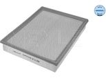 Meyle 612 321 0013 - Oe 73502069 Filtro Aria Per Croma, Signum (Z03), Vectra C (Z02)