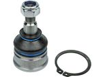 Meyle 516 010 0006 - Giunto Sferico Anteriore Inferiore Di Primo Equipaggiamento MR179480 Per S40 I (644), V40 (645)