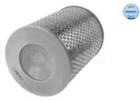Meyle 112 321 0013 - Oe 044 129 620 A Filtro Aria Per Golf Iii (1H), T4