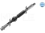 Meyle 300 525 0010 - Oe 34 30 30 6 781 667 Telaio Di Sostegno, Attacco Per R50, R53, R56, R52, R57, R55, R58, R59