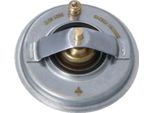 Nrf 725210 - Termostato Acqua Di Raffreddamento Oe 07K121113B Per Jetta Iii (1K2), Jetta Iv, New Beetle