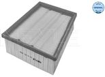 Meyle 16-12 321 0026 - Filtro Aria Oe 165467860R Per Grand Scenic Iv (R9), Koleos Ii (Hc), Megane Iv, Scenic Iv, Talisman