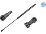 Meyle 16-40 910 0022 - Oe 8200000902 Ammortizzatore Posteriore Per Laguna Ii