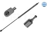 Meyle 16-40 910 0035 - Oe 654710003R Ammortizzatore Del Cofano Per Fluence (L3), Megane Cc, Megane Iii