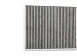 Stark SKIF-0170016 - Oe 955 572 219 10 Filtro Aria Abitacolo Per Q7 (4L), Cayenne (9PA), Amarok, T5, T6, Touareg (7L)