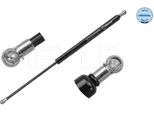 Meyle 37-40 910 0019 - Oe 81770 1C000 Ammortizzatore Portellone Posteriore Per Aveo (T300), Getz (Tb)