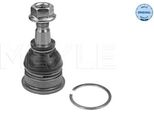 Meyle 30-16 010 0027 - Traggelenk Oe 3520 Q2, Vorne Unten FüR C1 (Pm, Pn), Aygo (B1), Iq (J1), Urban Cruiser (P1), Yaris (P1), Yaris (P9), Yaris Verso (P2)
