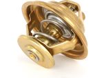 Meyle 028 271 0006 - Termostato Liquido Di Raffreddamento Per A4 (8D), A4 (8E), A4 (8H), A6 (4A), A6 (4B), A8 (4D), Superb I (3U), Passat (3B)