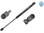 Meyle 11-40 910 0021 - Oe 96 47 487 680 Ammortizzatore Posteriore Per 407 Sw (6D, 6E)
