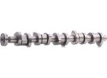 Stark SKCMS-1000028 - Albero A Camme Oe 070109101Q Per T5, Touareg (7L)