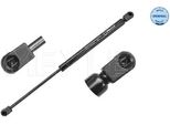 Meyle 16-40 910 0019 - Oe 8200051750 Ammortizzatore Portellone Posteriore Per Megane Ii