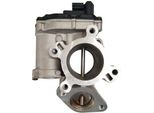 Magneti Marelli 571822112128 Valvola Agr Oe 1471000Q0Y Compatibile Con NV400, Trafic, Scenic, Megane, Master, Latitude, Laguna, Koleos, Espace, Vivaro, Movano, X-Trail, Qashqai, Primastar