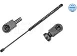 Meyle 240 910 0013 - Ammortizzatore Posteriore Oe 46784995 Per Stilo