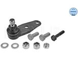 Meyle 16-16 010 0007 - Oe 8200254109 Traggelenk, Vorne FüR Clio Ii, Kangoo (Kc), Kangoo (Fc), Megane I, Megane Scenic, Scenic I