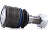 Meyle 016 010 0010 - Oe 220 323 03 68 Giunto Sferico Anteriore Inferiore Per Cls (C219), Classe E (W211), Classe E (S211), Classe S (W220), Sl (R230), Sl (R231)