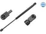 Meyle 16-40 910 0003 - Oe 7700842256 Ammortizzatore Portellone Posteriore Per Clio Ii