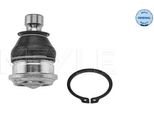 Meyle 37-16 010 0006 - Giunto Sferico Anteriore Inferiore Oe 54530 3A200 Per Santa Fe I (Sm), Santa Fe Ii (Cm), Sorento Ii (Xm)