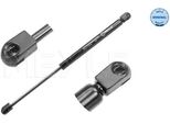 Meyle 140 910 0020 - Oe 8N8 827 552 B Ammortizzatore Portellone Posteriore Per Tt (8N)