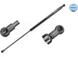 Meyle 16-40 910 0031 - Oe 844300004R Ammortizzatore Del Portellone Posteriore Per Laguna Iii
