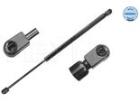 Meyle 16-40 910 0017 - Oe 8200119500 Ammortizzatore Del Portellone Posteriore Per Grand Scenic Ii (Jm), Scenic Ii