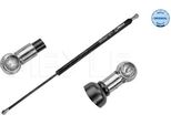 Meyle 16-40 910 0016 - Oe 8200174571 Ammortizzatore Del Portellone Posteriore Per Grand Scenic Ii (Jm), Scenic Ii