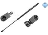 Meyle 740 910 0018 - Oe 1 211 497 Ammortizzatore Del Portellone Posteriore Per Fusion
