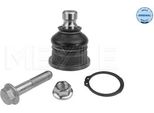 Meyle 36-16 010 0044 - Oe 40160 AX000 Giunto Sferico Inferiore Anteriore Per Micra Iii (K12), Note (E11, NE11)