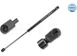 Meyle 11-40 910 0000 - Oe 8731 F8 Ammortizzatore Portellone Posteriore Per 307, 307 Sw (3H)