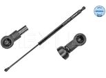 Meyle 16-40 910 0028 - Oe 8200219322 Ammortizzatore Del Portellone Posteriore Per Modus (F/JP0)