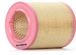 Meyle 112 321 0005 - Filtro Aria Oe 4E0 129 620 Per Golf Iii (1H), A8 (4E)