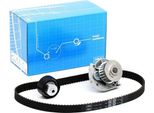Skf Vkmc 02204-2 - Oe 46352295 Wasserpumpe + Zahnriemensatz FüR 500 (312), Brava, Bravo, Stilo, Punto, Panda, Marea, Idea