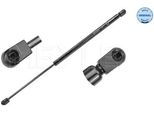 Meyle 640 910 0018 - Ammortizzatore Posteriore Oe 13101335 Per Vectra C (Z02)