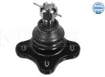 Meyle 35-16 010 0020 - Oe 3 665 732 Giunto Sferico Superiore Anteriore Per Ranger (Eq, Er, R)