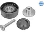 Meyle 314 009 0009 - Puleggia Folle Oe 1 435 594, Cinghia A V Per Serie 3 (E46), Z3 (E36)