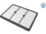 Meyle 28-12 321 0015 - Filtro Aria Oe 28113 G2100 Per Escort V, Ioniq (Ae), Niro (De)