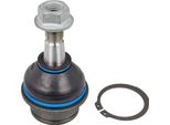 Meyle 36-16 010 0023 - Oe 54525 EB30A Giunto Sferico Superiore Anteriore Per Pathfinder Iii (R51)