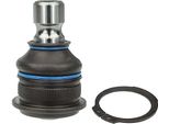 Meyle 36-16 010 0000 - Oe 54501 JG000 Giunto Sferico Inferiore Anteriore Per Murano I (Z50), Qashqai +2 I (J10), X-Trail (T31), Koleos I (Hy)